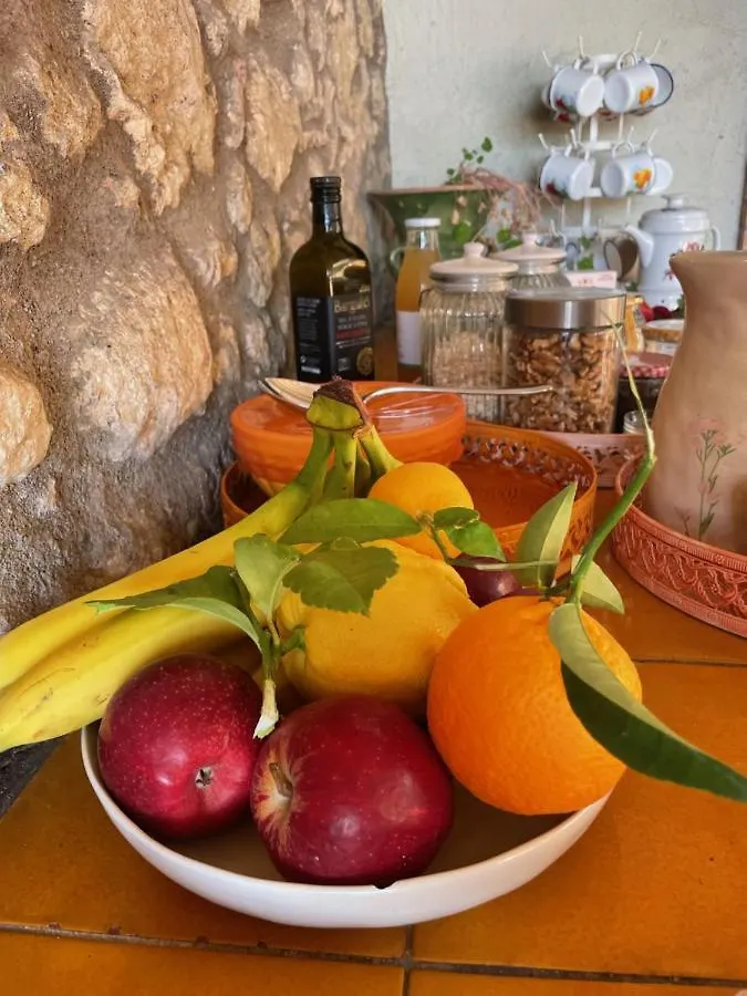 Mas Feliu Turismo Rural Bed & Breakfast Pujals Dels Cavallers Spain